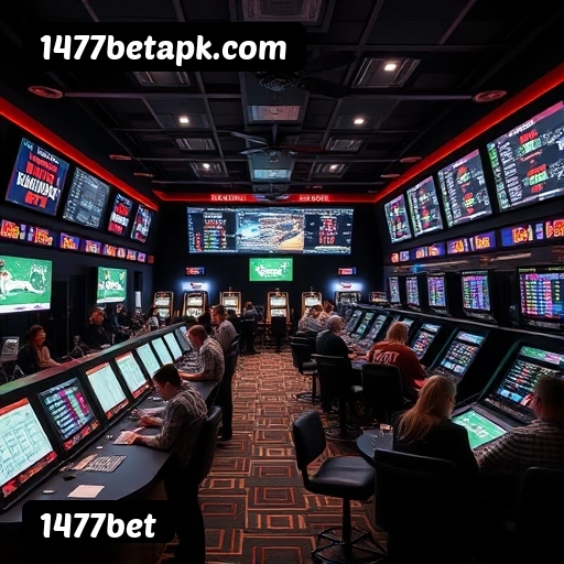 1477bet Salvador - Studio Tour