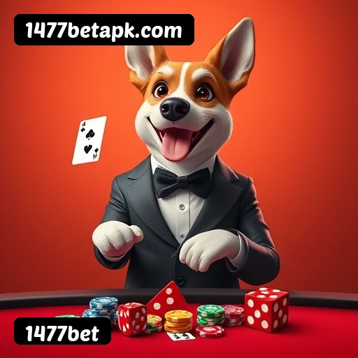 1477bet Rio de Janeiro - Licenses
